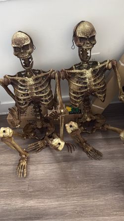 Halloween Skulls
