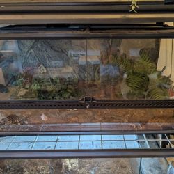 Exo Terra Glass Reptile Enclosure