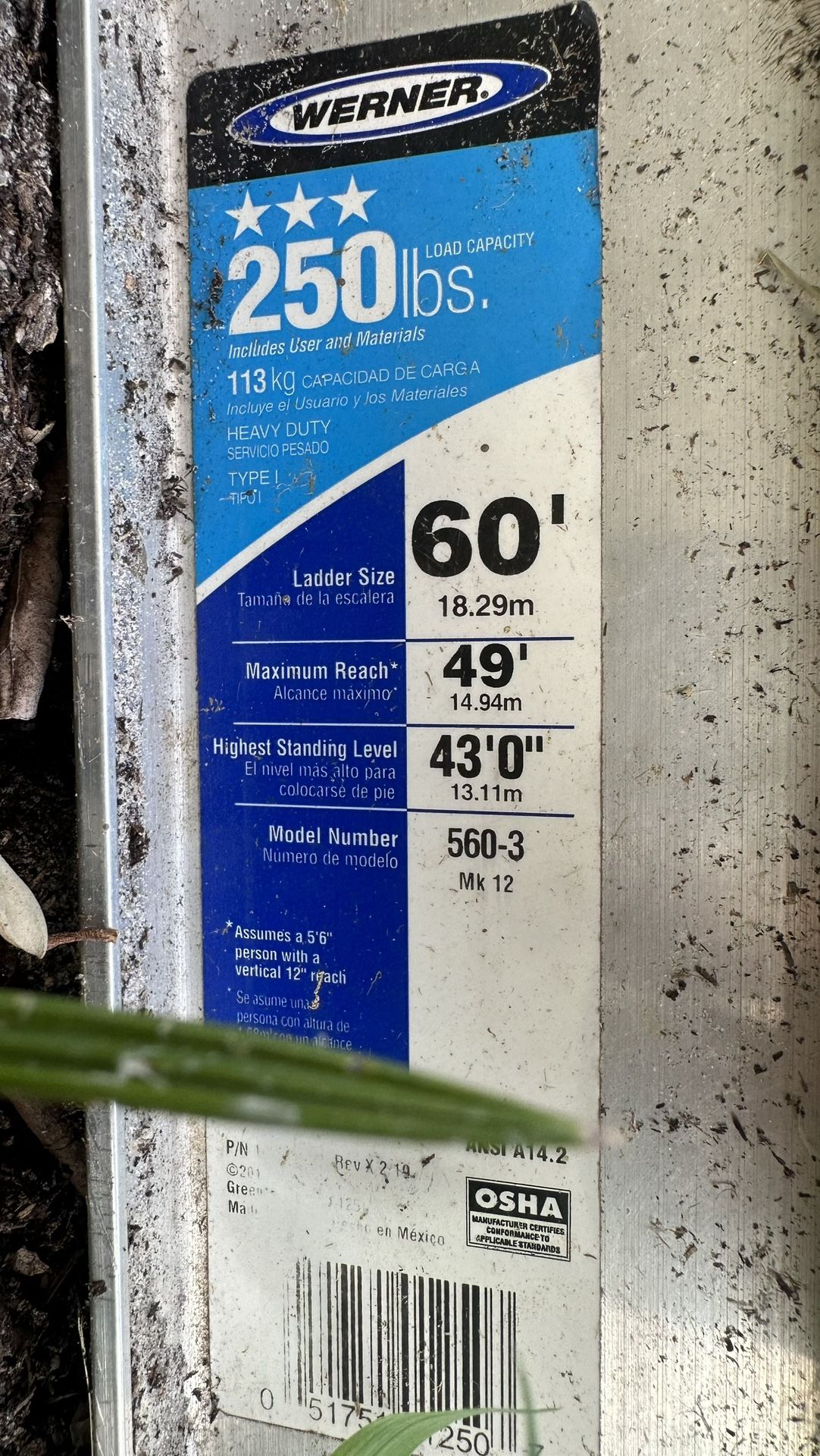 60 foot ladder