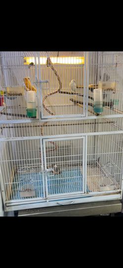 Large Double Bird Cage with Canaries + Accessories