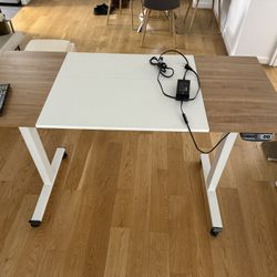 Electric Standing Desk 55x23.5