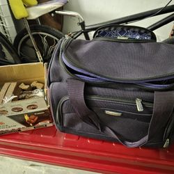 Ricardo Purple Suitcase 