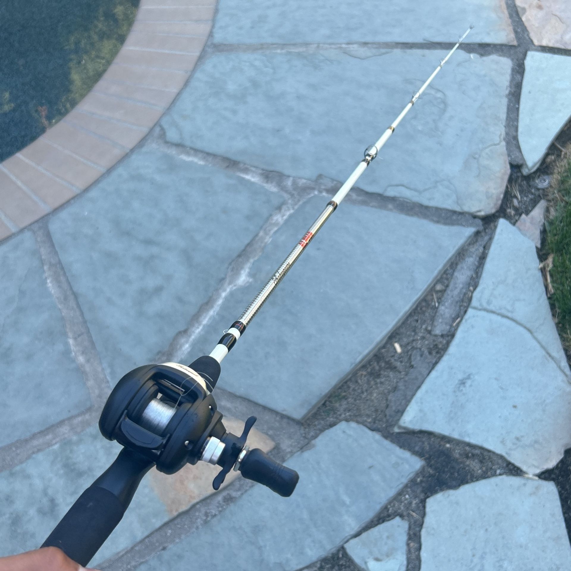 Shakespeare Alpha Bait Caster