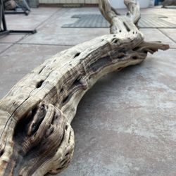 Massive Driftwood Manzanita 