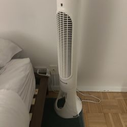 Fan