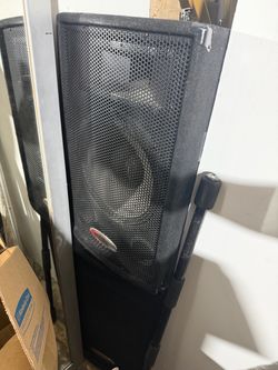 Large PA Speaker Cabinet