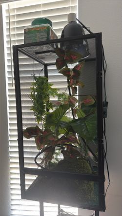 Chameleon enclosure