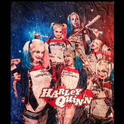 Harley Quinn Kids Adults Ultra-Soft Micro Fleece Blanket Throw All Season