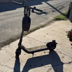 Electric Scooters
