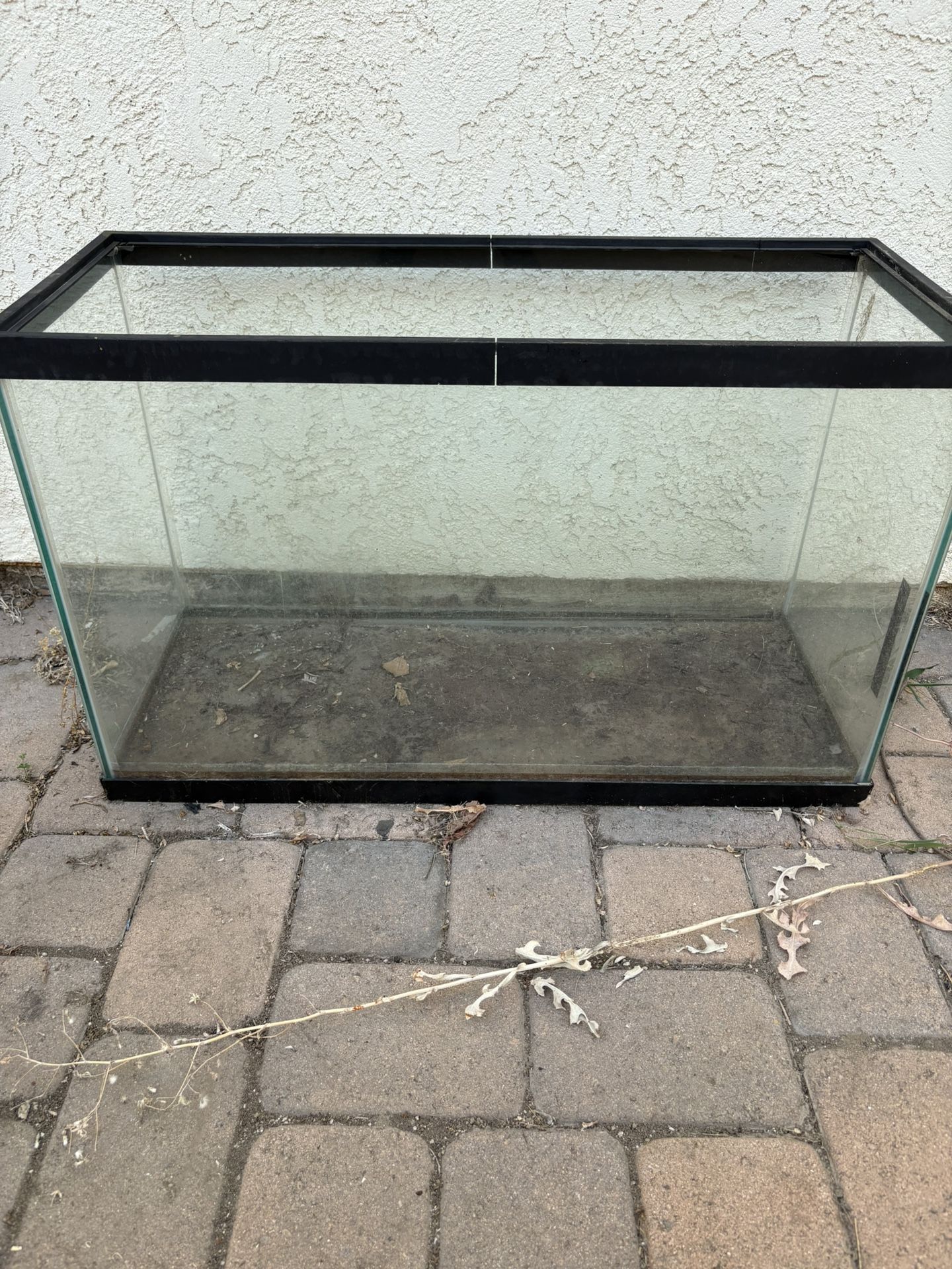 Fish Tank
