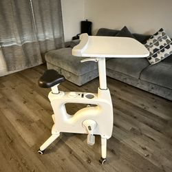Desk Bike 