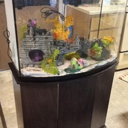 50+ Gallon Fish Tank