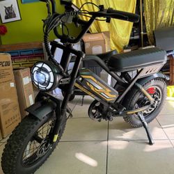 Adult Electric Bicycle - 16"x 4" Wide Tires, 1000W Peak Electric Bike Motorcycle, 7 Speeds, 48V 15.6/18.2AH Battery, Long Seat Electric Bicycle No key
