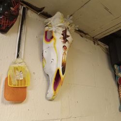 Authentic Hand Painted Native American Horse Skull