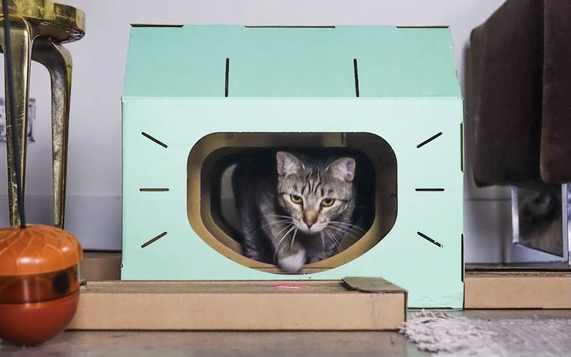 Teal sustainable Pet house with cat nip for a Cats & bunny