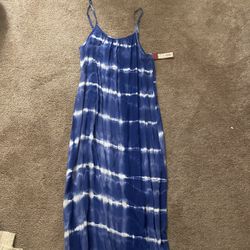 Blue/ White Maxi Dress (target) 