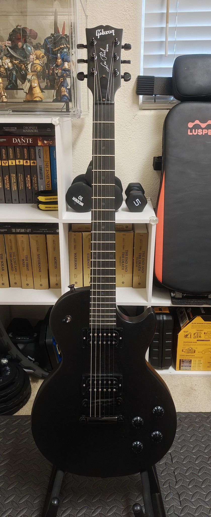 Electric Guitar - Gibson Les Paul Special Raven