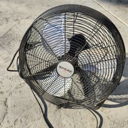 Fan 