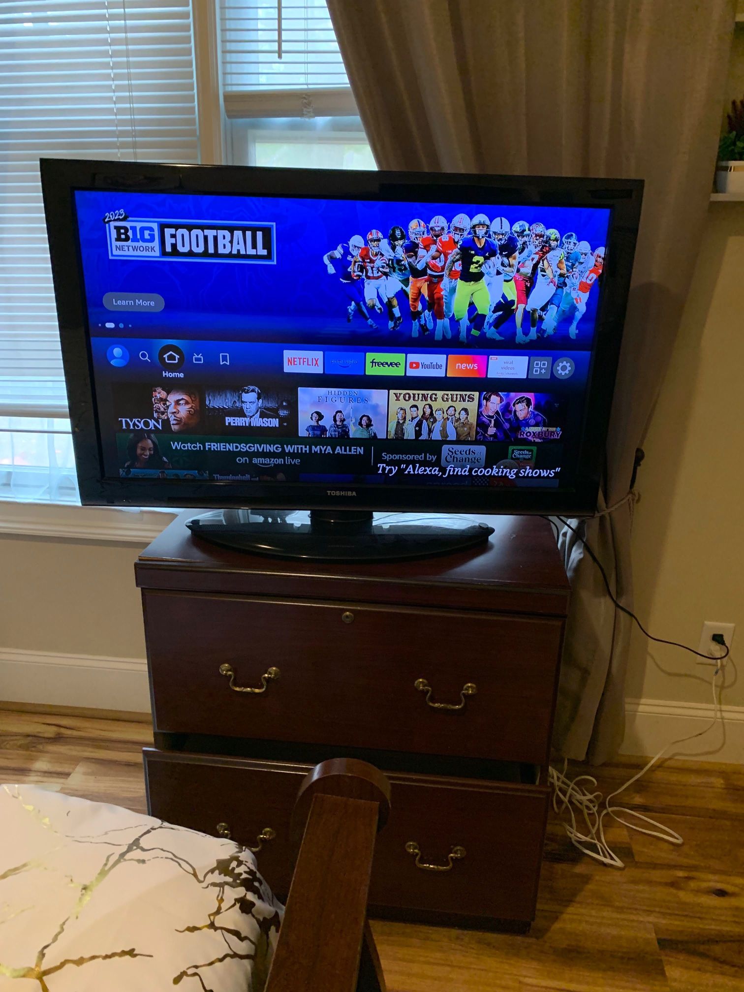 Toshiba 45 inch TV $100