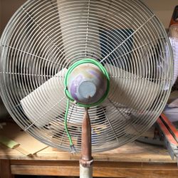 Fan