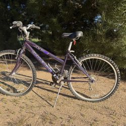 Bike/ Bicycle M20 Adult 