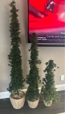 Brandnew  in box 3 set alpine trees 🌲  retail $250 + tax