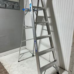 Ladder 6 Foot