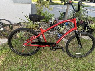 Electra Townie Cruiser Bicycle SERVICED