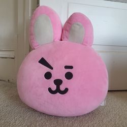 BT21 Cushions