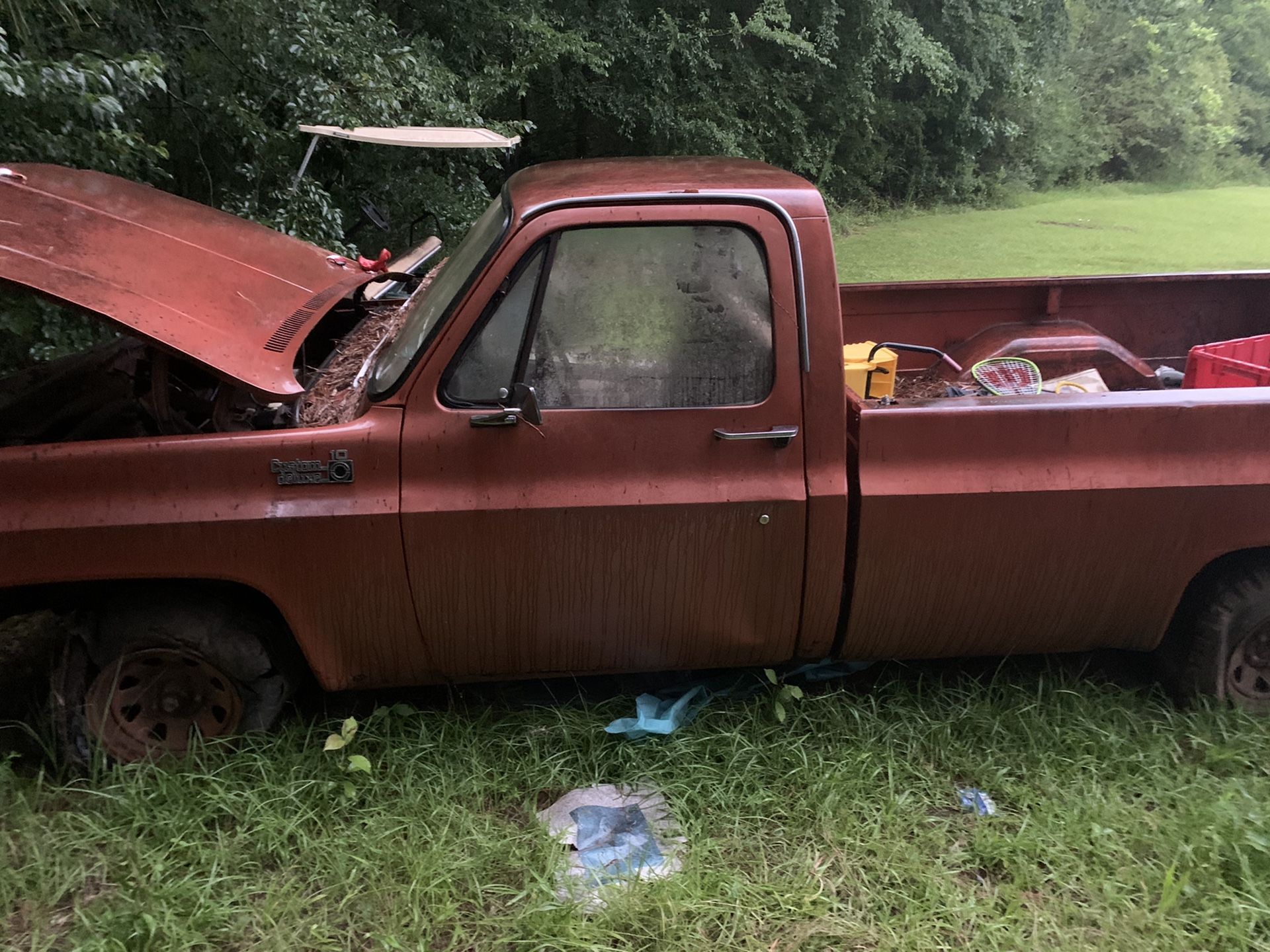 1976 Chevrolet Pickup