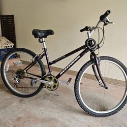 Schwinn Frontier Mountain Bike