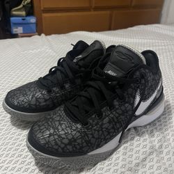 Lebron NXXT Gen Basketball Shoes 