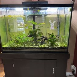 40 Gallon Tall Fish Tank