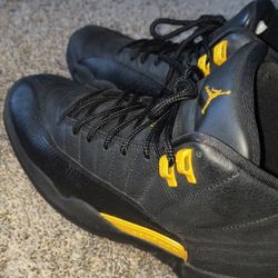 Jordan 12 Taxi