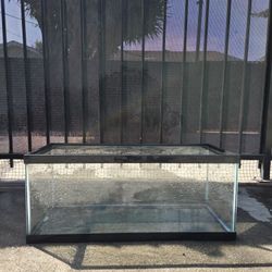 20 GALLON LONG TANK Aquarium