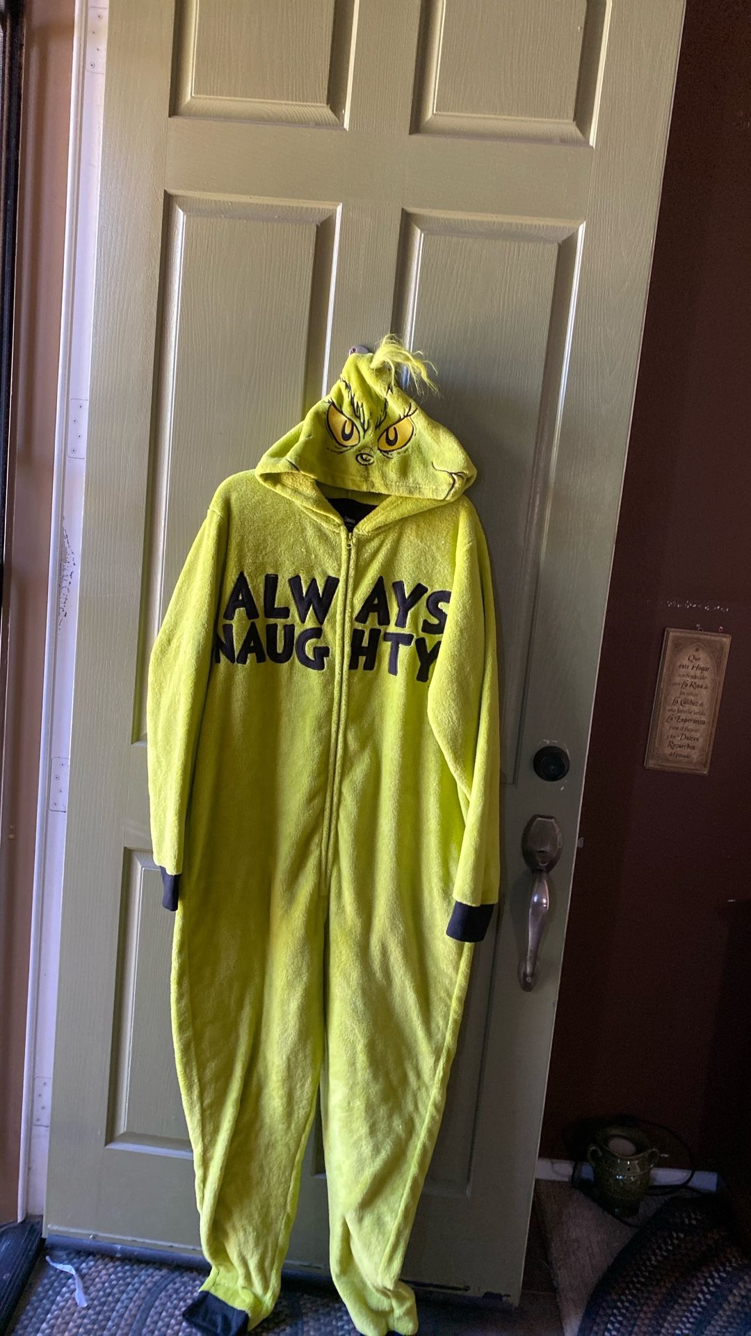 Halloween Costume L/XL $15 Dollars