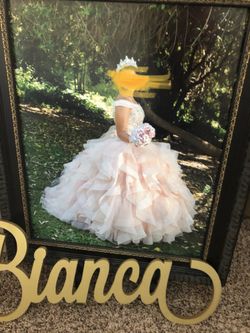 Dress quinceanera dress payed 1,200 Morilee size 6