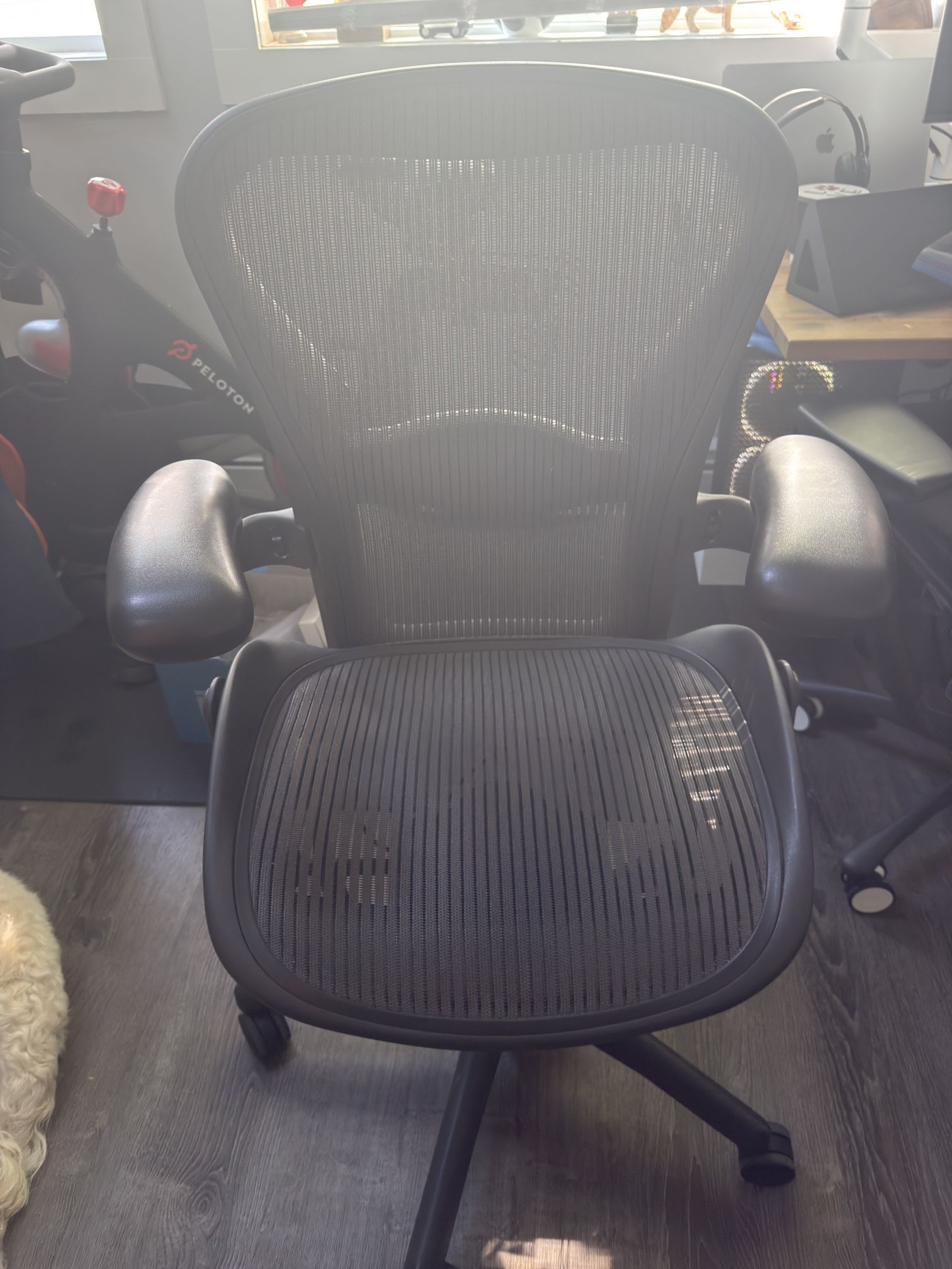 Herman Miller Classic Aeron Chair