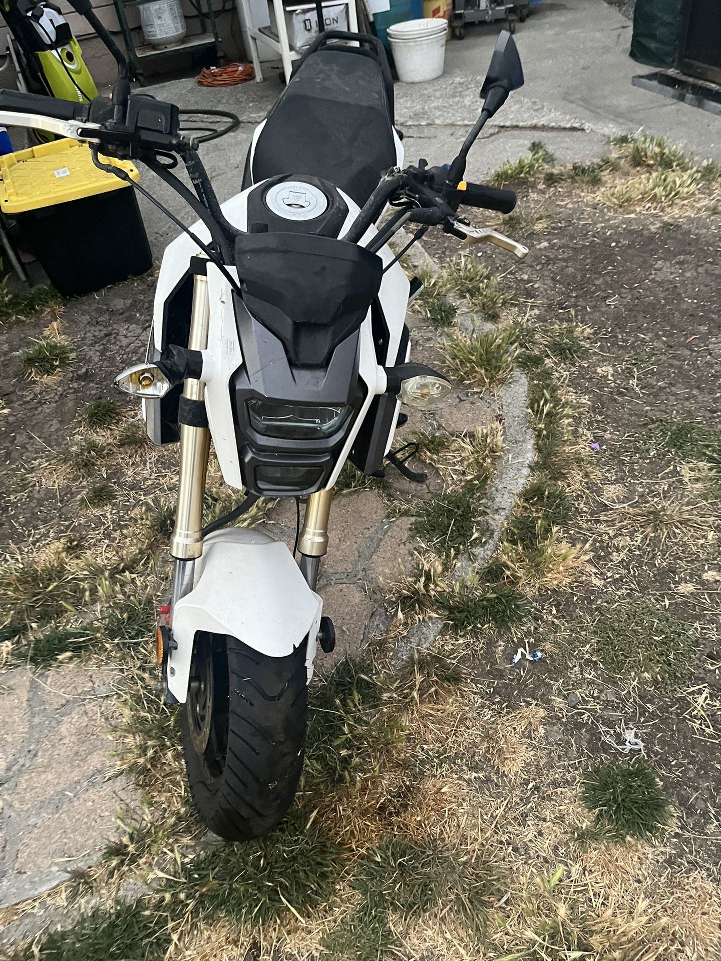 2020 Venom X20 Grom Clone