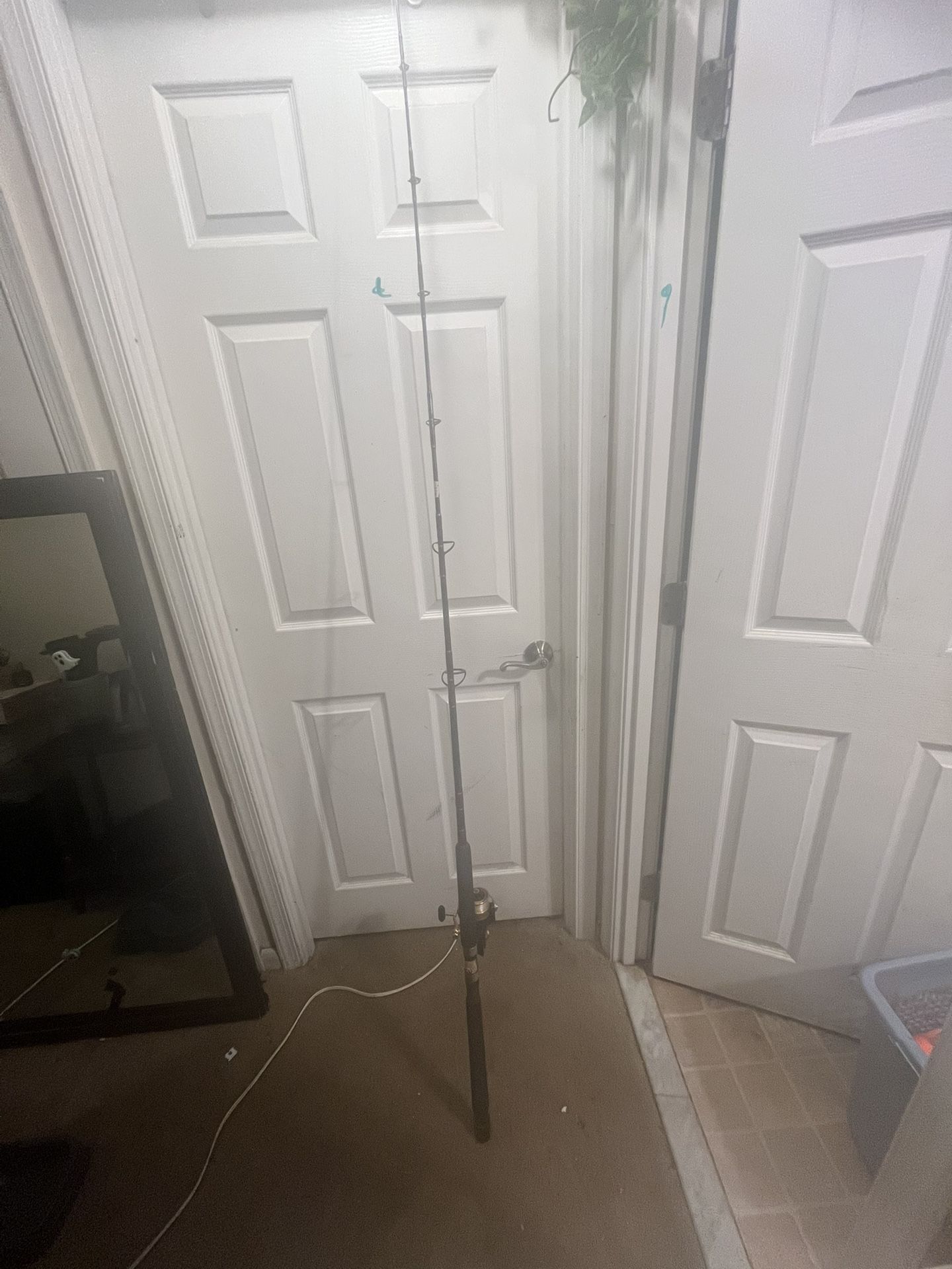 Penn Power Graph 7ft Rod Penn 450ss Reel