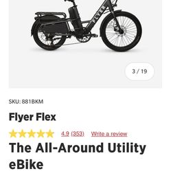 Ryder Flyer E Bike