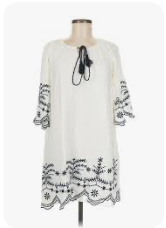 Chic Connection Embroidered Dress