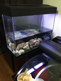 I have eclipse marine land 30 Gallons