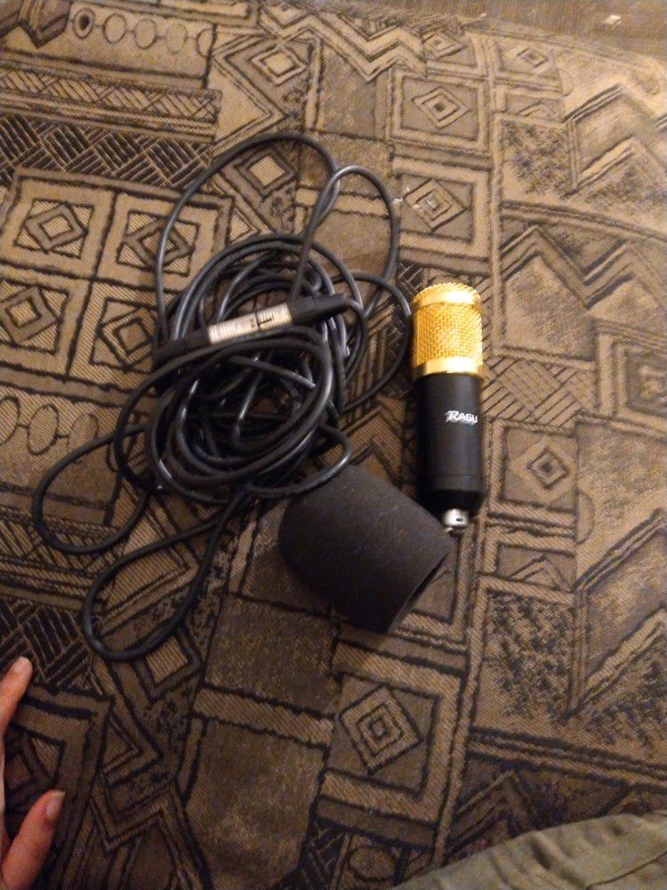 Ragu Condenser Microphone And Chord