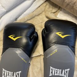 Everlast Boxing Gloves 