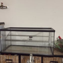 Bearded Dragon Cage 