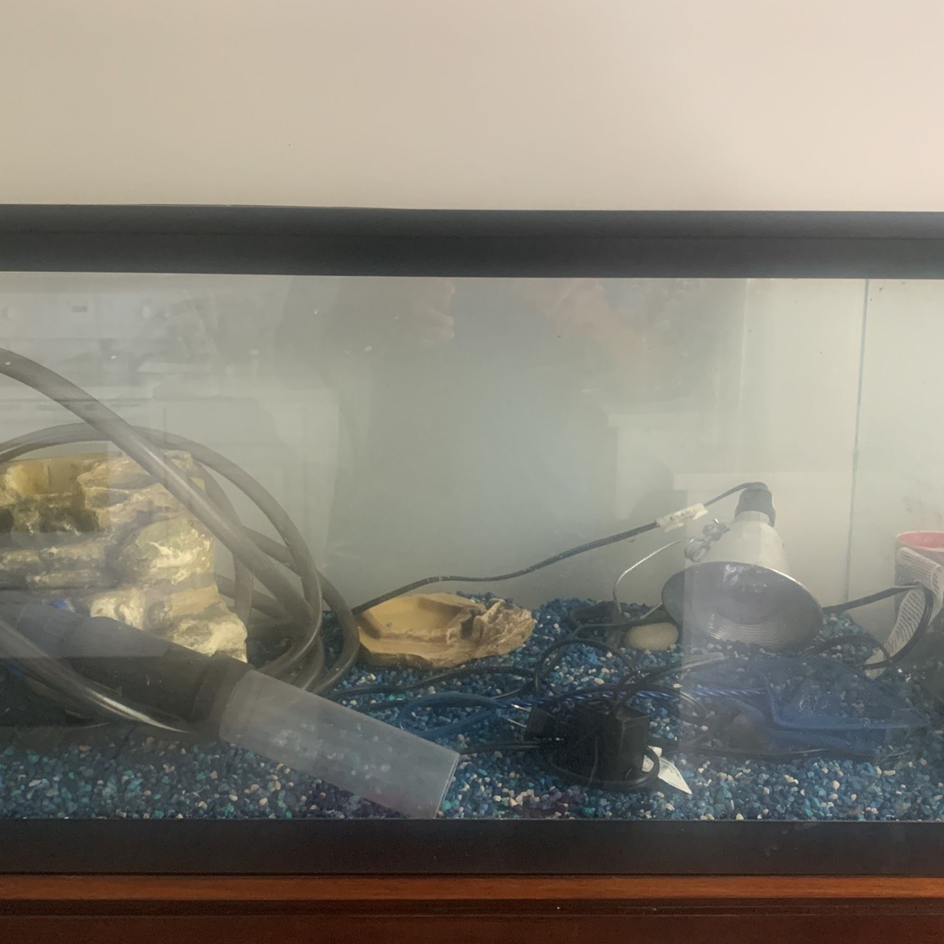 55 Gallon Fish Tank/enclosure 