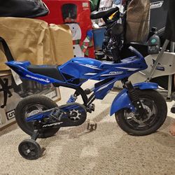 Toddler Bicycle 
