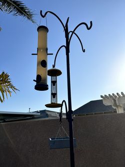 Bird Feeder