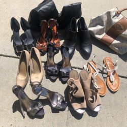 Womens Shoes And Purse